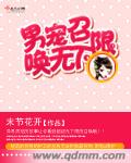 男宠召唤无下限