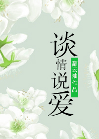 谈情说爱