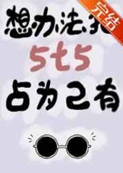 想办法把5t5占为己有