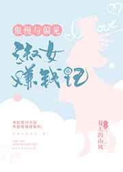 [傲慢与偏见]淑女赚钱记