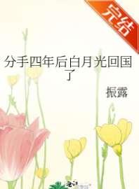 分手四年后白月光回国了
