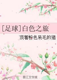 [足球]白色之旅