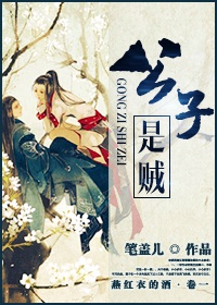 公子是贼