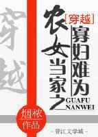 农女当家之寡妇难为