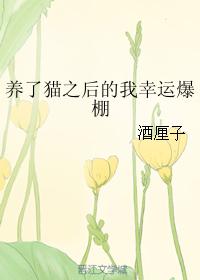 养了猫之后的我幸运爆棚