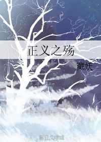 正义之殇