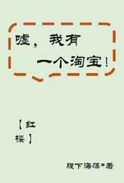 [红楼]嘘，我有一个淘宝！