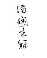 满城衣冠