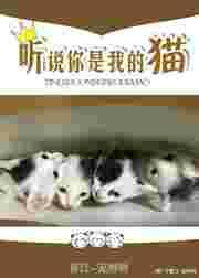 听说你是我的猫