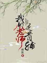 我的老师是首辅