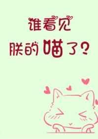 谁看见朕的喵了？