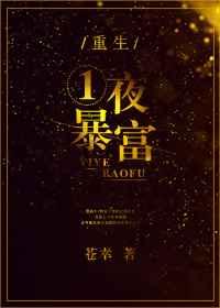 重生一夜暴富