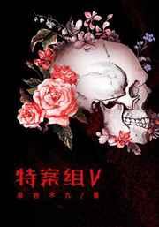 特殊案件调查组Ⅴ