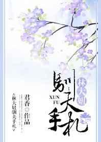 林大妞驯夫手札