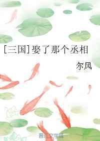 [三国]娶了那个丞相