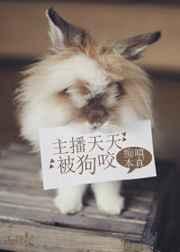 主播天天被狗咬