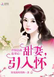冷情总裁追妻记