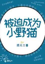 被迫成为小野猫