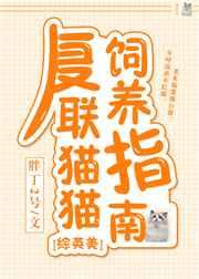 复联猫猫饲养指南