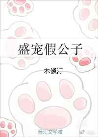 盛宠假公子