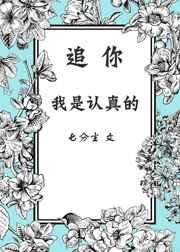 追你，我是认真的