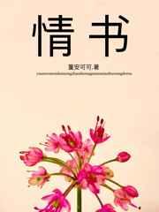 情书