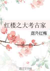 红楼之大考古家