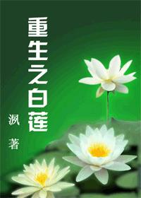 重生之白莲