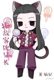 揍敌客牌兄长[综武侠]