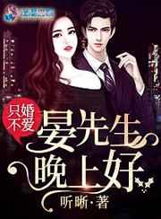 只婚不爱：晏先生，晚上好