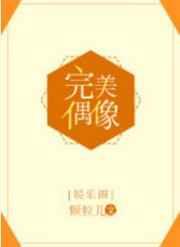 完美偶像[娱乐圈]