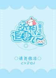 丞相追妻记（重生）