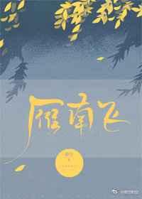 雁南飞