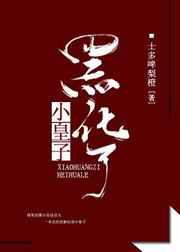 小皇子
