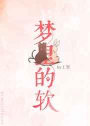 梦里的软
