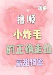 撸顺小炸毛的正确走位