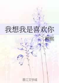 我想我是喜欢你