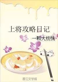 上将攻略日记