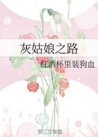 灰姑娘之路