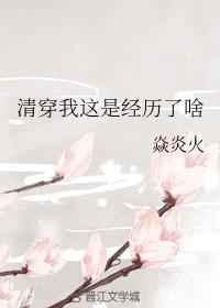 清穿我这是经历了啥