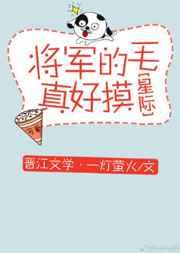 将军的毛真好摸