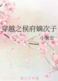 穿越之侯府嫡次子