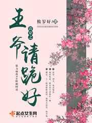 清穿之王爷请跪好