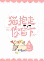 猫抱走，你留下