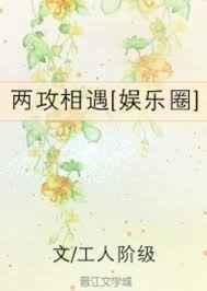两攻相遇[娱乐圈]