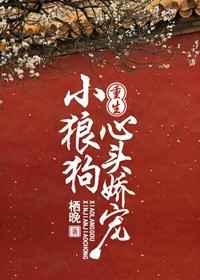 小狼狗心头娇宠（重生）