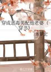 穿成恶毒男配他老婆[穿书]