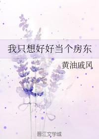 我只想好好当个房东