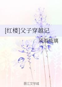 [红楼]父子穿越记