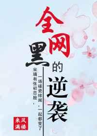 全网黑的逆袭